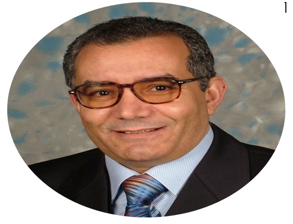 أ.د/ محمد الخزامي محمد عزيز